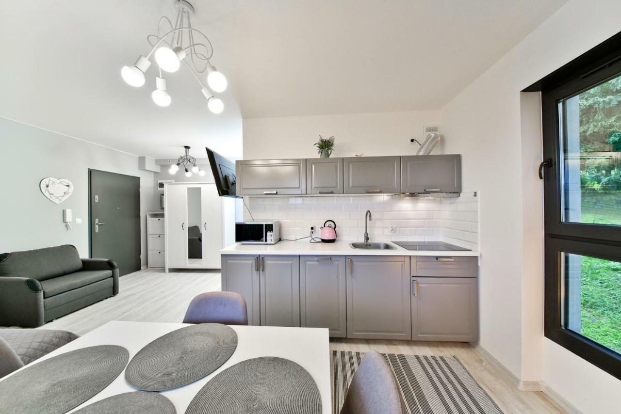 Apartament Szarotka - Apartamentuj 卡尔帕奇 外观 照片